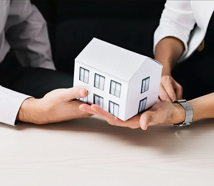 hands holding a model